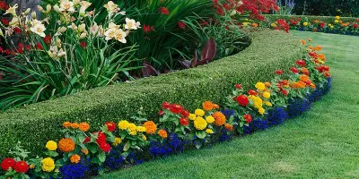Cedar Creek Landscaping - Tree & Shrub Care in Cedar City, UT