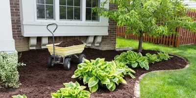 Cedar Creek Landscaping - Tree & Shrub Care in Cedar City, UT