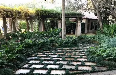 Wyscape, LLC - Deck Building & Repair in Niceville, FL