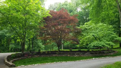 Wintergreen Landscape Maintenances - Tree & Shrub Care in Waldorf, MD