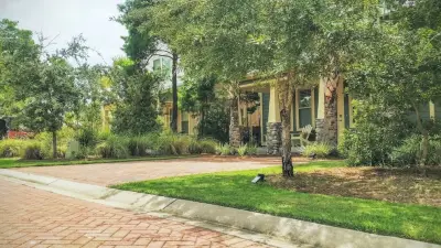 Compass Landscape - Tree & Shrub Care in Freeport, FL
