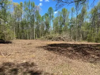 North Alabama Land Development and Construction - Tree & Shrub Care in Arab, AL