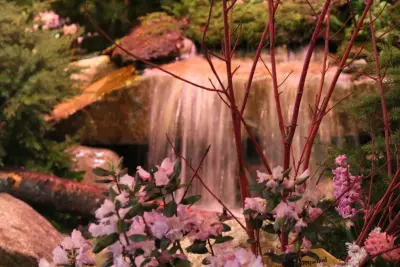 Choice Landscapes LLC - Tree & Shrub Care in Mount Vernon, WA