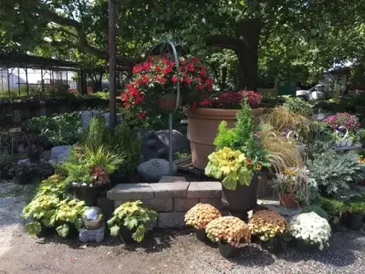 Hart's Nursery - Landscape Construction in Bushnell, IL