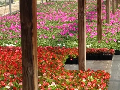 Rowe Landscape Installation, LLC - Tree & Shrub Care in Coweta, OK