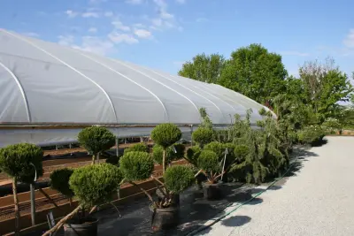 Our Garden — Landscape Construction project by Mountain View Nursery And Landscaping, LLC