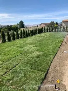 Oasis Landscaping - Tree & Shrub Care in Walla Walla, WA