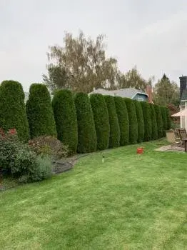 Oasis Landscaping - Tree & Shrub Care in Walla Walla, WA