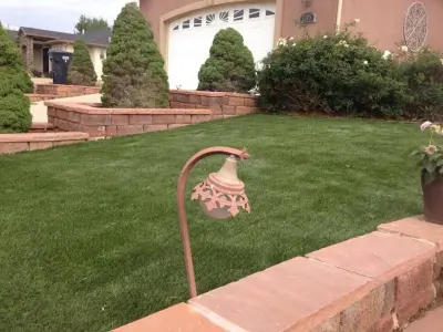 Above & Beyond Lawn & Landscaping - Tree & Shrub Care in Pueblo, CO