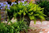 Tri-State Hardscapes - Tree & Shrub Care in Dothan, AL