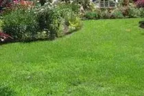 Tri-State Hardscapes - Tree & Shrub Care in Dothan, AL