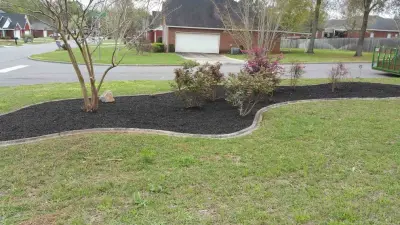 Tri-State Hardscapes - Tree & Shrub Care in Dothan, AL