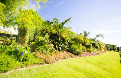 ND-Man Landscapes - Tree & Shrub Care in Hilo, HI