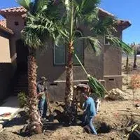 Expression Landscape - Deck Building & Repair in Sonora, CA