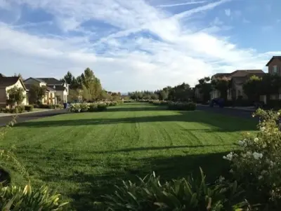 Briner & Son Landscape Management - Commercial Construction Services in Fresno, CA