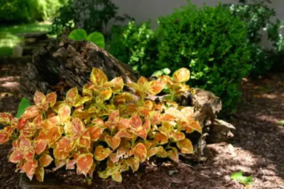 Our Home Projects — Landscape Construction project by HCW Landscaping & Maintenance