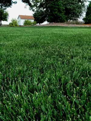 Ideal Turf Inc - Landscape Construction in Hanna City, IL