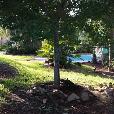 Al Alva sales & Landscaping L.L.C - Landscape Construction in Laredo, TX