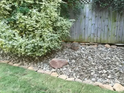 Express Tree & Landscaping - Tree & Shrub Care in Fort Smith, AR