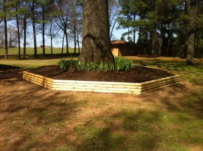 Express Tree & Landscaping - Tree & Shrub Care in Fort Smith, AR