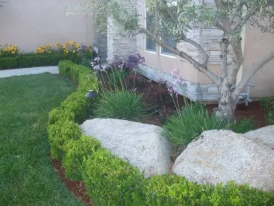 Bobby Saenz Landscaping - Tree & Shrub Care in Visalia, CA