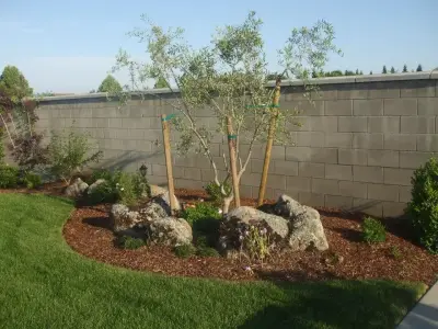 Bobby Saenz Landscaping - Tree & Shrub Care in Visalia, CA