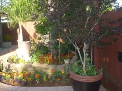 Bobby Saenz Landscaping - Tree & Shrub Care in Visalia, CA