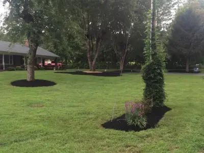Lawn Worx Outdoor Solutions - Tree & Shrub Care in Rocky Mount, VA