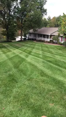 Lawn Worx Outdoor Solutions - Tree & Shrub Care in Rocky Mount, VA