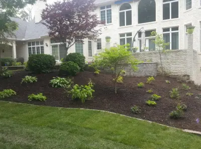 Cuttin' It Close Lawn Care and Landscaping - Tree & Shrub Care in Peoria, IL