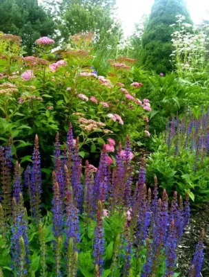 Frazier's Landscaping Inc - Tile & Stone Installation Services in Oneonta, NY