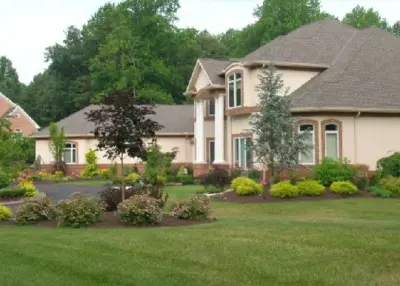 Kinsey's Lawn & Landscape - Tree Planting & Transplanting in Paducah, KY