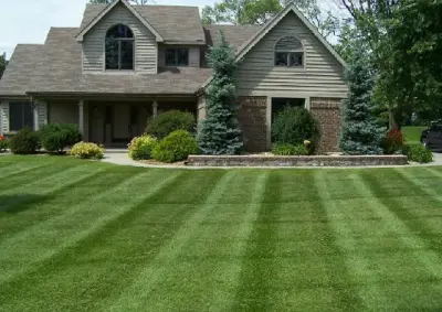 Kinsey's Lawn & Landscape - Tree Planting & Transplanting in Paducah, KY