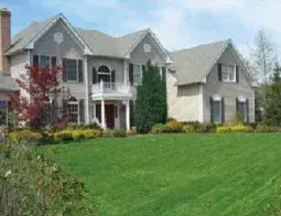 Kinsey's Lawn & Landscape - Tree Planting & Transplanting in Paducah, KY