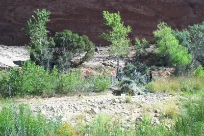 Wildland Scapes - Design-Build Services in Moab, UT