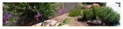 Wildland Scapes - Design-Build Services in Moab, UT