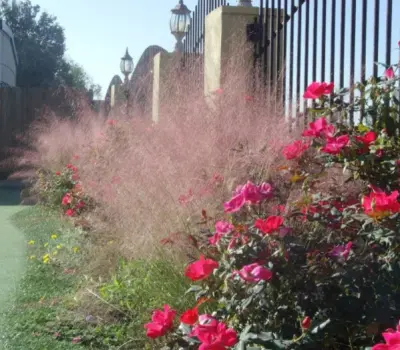 Turf specialties, inc - Tree & Shrub Care in Midland, TX
