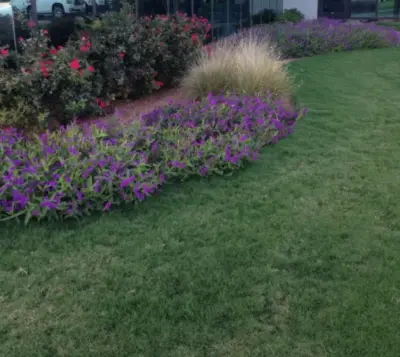 Turf specialties, inc - Tree & Shrub Care in Midland, TX