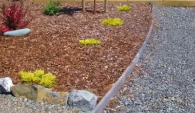 Cen's Landscaping Service - Tree & Shrub Care in Fort Bragg, CA