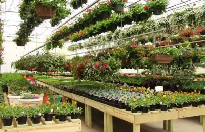 Natures Edge Garden Center - Tree & Shrub Care in Bemidji, MN