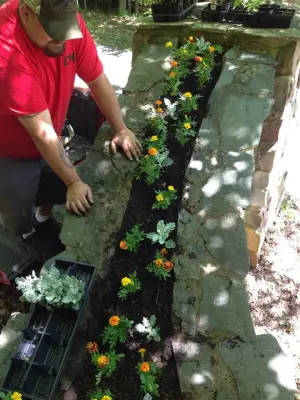 CMB Landscaping Services - Tree & Shrub Care in Bradford, PA