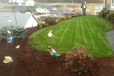 Clean Cut Landscape Innovations - Commercial Construction Services in Roseburg, OR