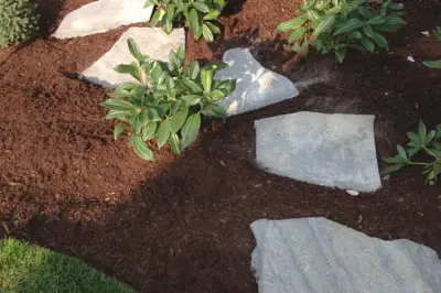 Clean Cut Landscape Innovations - Commercial Construction Services in Roseburg, OR