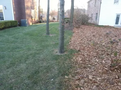 Quality Lawn - Tree & Shrub Care in Joplin, MO