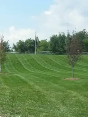 Quality Lawn - Tree & Shrub Care in Joplin, MO