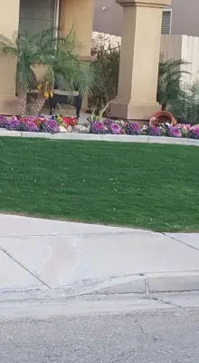 Luna landscaping services - Deck Building & Repair in Imperial, CA