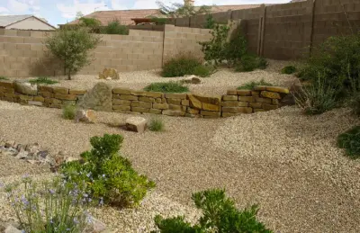 Our efforts — Landscape Construction project by Southwest Desert Images