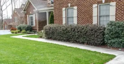 Outdoor Spaces — Landscape Construction project by Sequoyah Landscaping