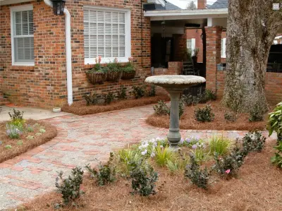 Buds N' Blossoms Nursery - Tree & Shrub Care in Dothan, AL