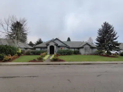 Fractal Landscape - Tree & Shrub Care in Springfield, OR